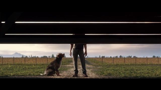 Farming Simulator 19: Official CGI Reveal Trailer смотреть онлайн