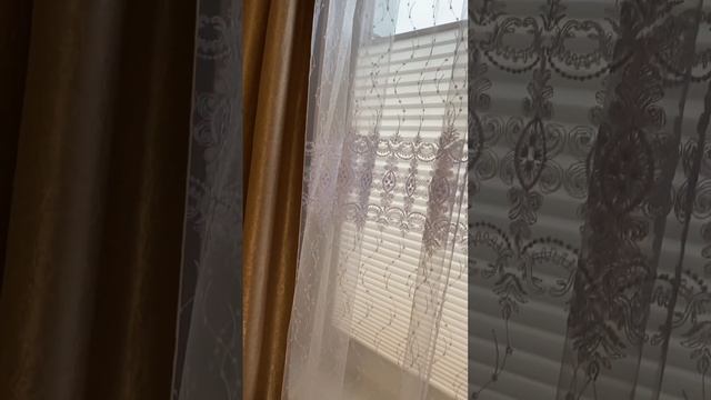Ремонт в коридоре. Вкусный обед, рекомендую. Пришли наряды . смотреть онлайн