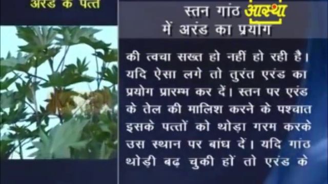 महिलाओ के स्तन गांठ में अरंड का प्रयोग | आचार्य बालकृष्ण смотреть онлайн