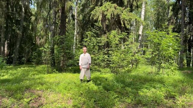 Ивановский музыкальный театр смотреть онлайн