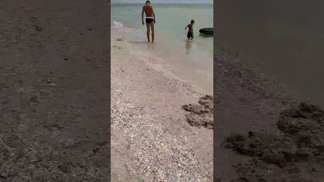 Выловил 💯 медуз на берегу Азовского моря!! смотреть онлайн