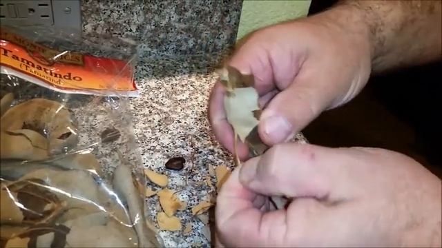 Тамаринд -- съедобный стручок из Мексики,Индии и Юго Восточной Азии. смотреть онлайн