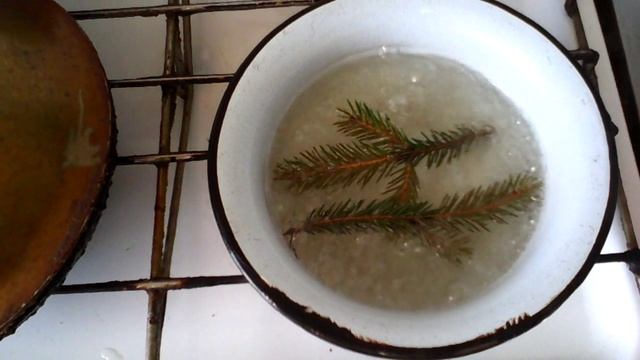 Чай из елки для лечения и профилактики птичьего гриппа, ОРЗ, простудных заболеваний. смотреть онлайн