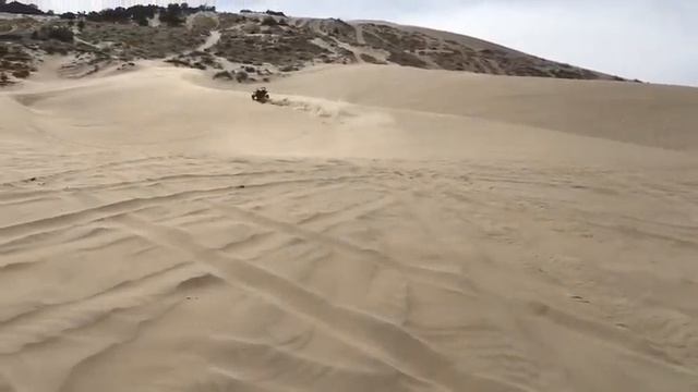 Packard supercharged YXZ 1000R смотреть онлайн