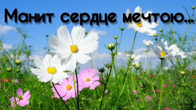 Манит сердце мечтою - христианская песня. смотреть онлайн