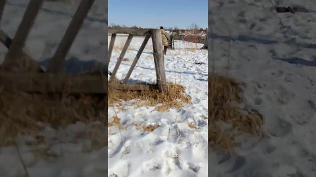 это видео как мы развлекаемся смотреть онлайн