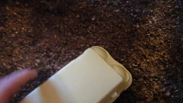 Маран Чёрное серебро. смотреть онлайн