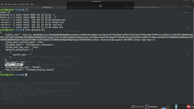 [PL] Jeden Vault by wszystkimi rządzić, czyli Januszem, Grażyną i Sebusiem! смотреть онлайн