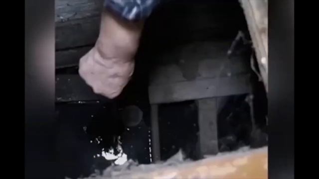 Россия всем помогает но утопает смотреть онлайн