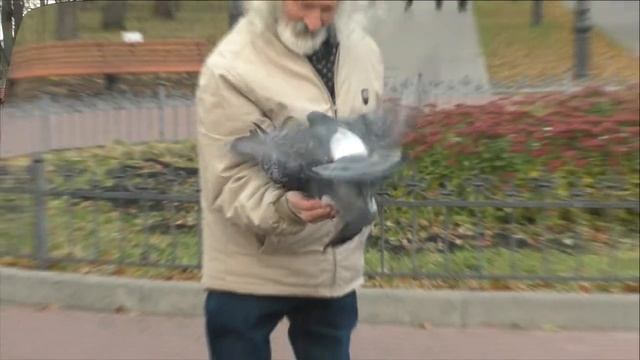 В праздник Казанской иконы Божьей Матери смотреть онлайн