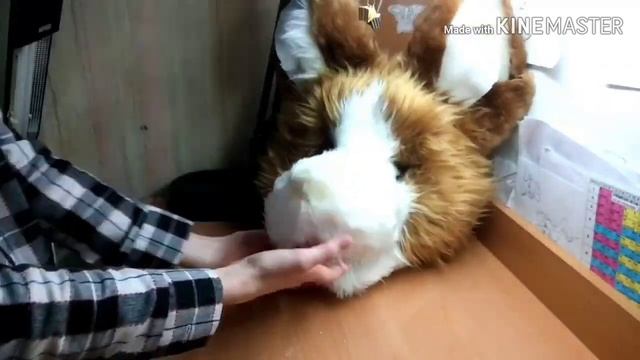 HOW TO ADHESIVE FUR[Fursuit]/КАК ПРИКЛЕИТЬ МЕХ НА ФУРСЬЮТ смотреть онлайн