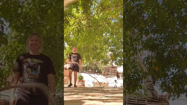 Дрессировка собак в Краснодаре.
2 лабрадора ретривера