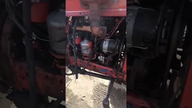 Экспресс обзор на Трактор Беларус МТЗ 82 от Гудкова Романа смотреть онлайн