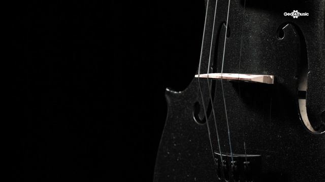 Stentor Harlequin Violin Outfit, Black, Full Size | Gear4music смотреть онлайн