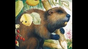 Бобры —Иван Соколов— Микитов —читает Павел Беседин