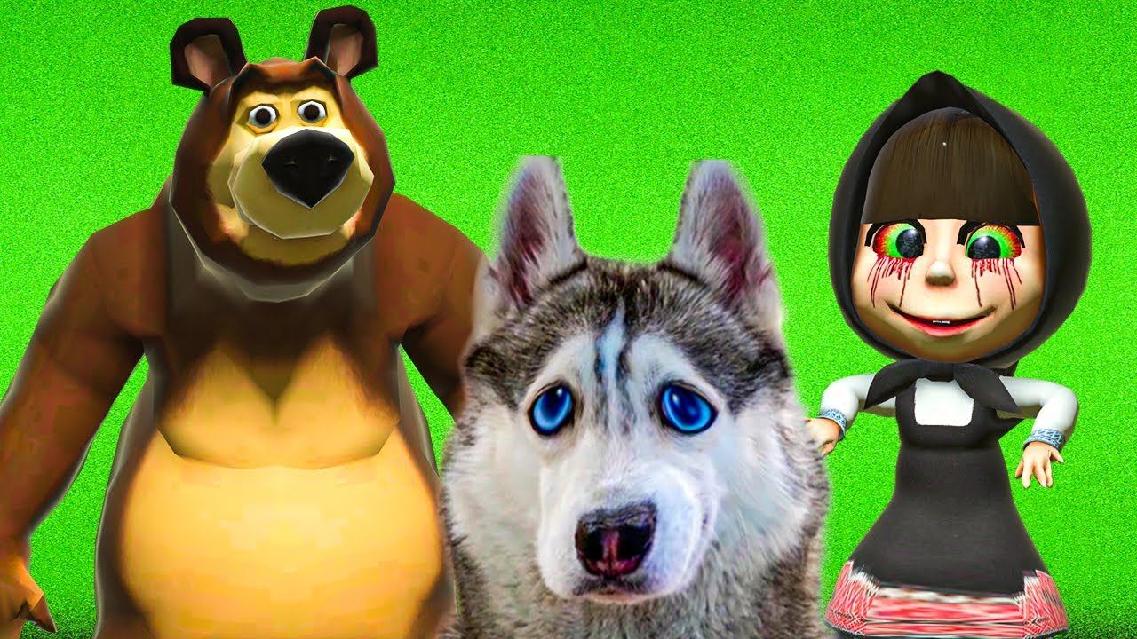 МЕДВЕДЬ vs МАША ЕХЕ!!! КТО ПОБЕДИТ?? (Хаски Бандит) говорящая собака смотреть онлайн