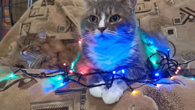 Ep 7 — современная поэзия