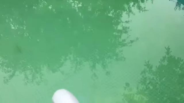 Очистка дна бассейна своими руками без пылесоса