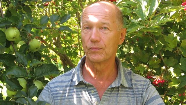 Фестиваль йоги " Йога 21 века" август 2018 смотреть онлайн