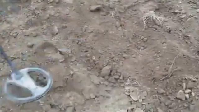 Тёрка X-Terra 705 плохо ловит чешуйку Грозного !