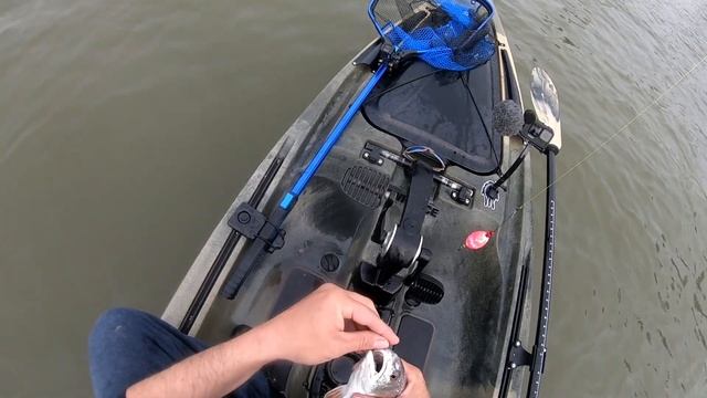 KAYAK FISHING GALVESTON TEXAS BAYOU VISTA - MINI INSHORE SLAM - NATIVE TITAN 12 смотреть онлайн