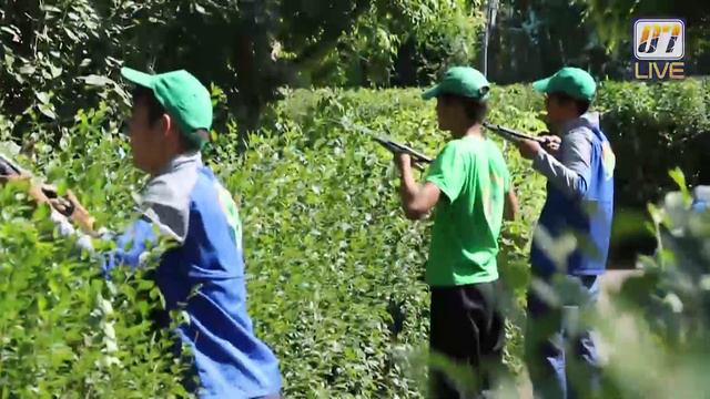 "Жасыл ел" жастар еңбек жасағы смотреть онлайн