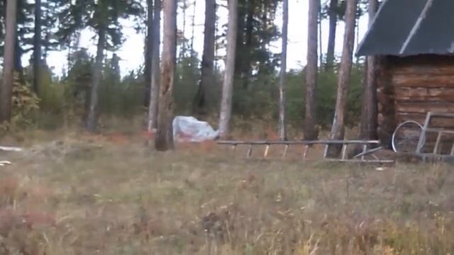 Кажевинское зимовьё смотреть онлайн