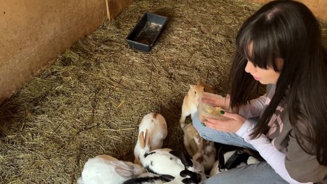 ЭтноМир| Этно мир отдохнули вдвоем от Москвы, цены, стоит ли ехать?