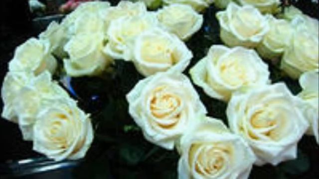 Белые розы.wmv
