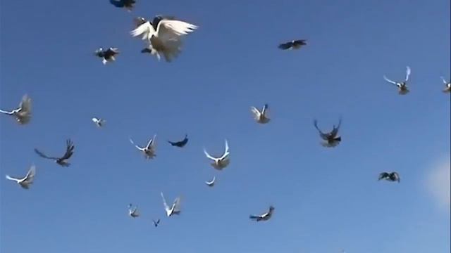 Кемерово, скорбим! смотреть онлайн