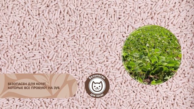 Растительный наполнитель CAT STEP Tofu Original смотреть онлайн