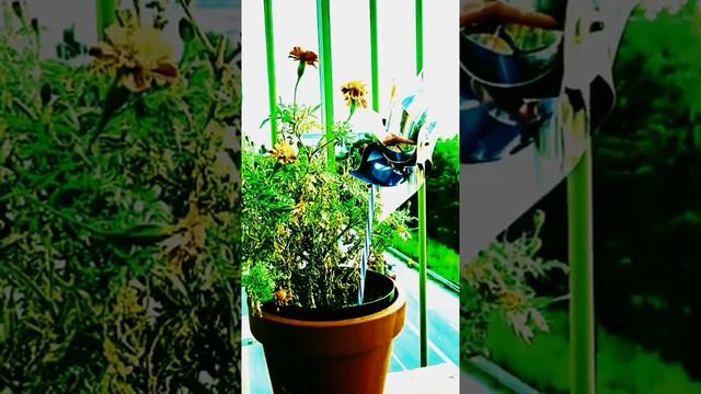 Some deep house flavour - let's hear your thoughts! смотреть онлайн