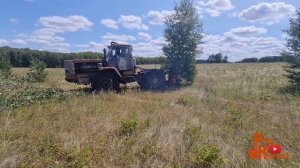 Огромные затраты на расчистку полей, трактор Т-150к выдергивает деревья, МТЗ-82 убирает с поля