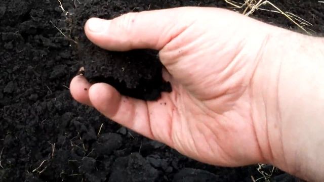 луговой чернозем смотреть онлайн