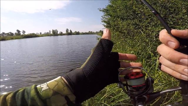 река Келноть, Ярославские областные соревнования смотреть онлайн