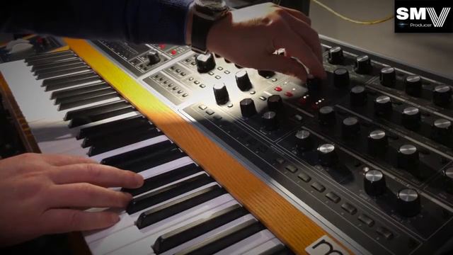 Moog One demo - REM - No talking смотреть онлайн
