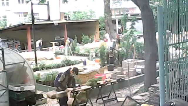 ГБПОУ КАС №7 Ландшафтный дизайн 18062018 CAM1 смотреть онлайн