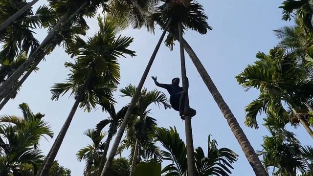 Sahakari Spice Farm Goa | Spice Garden Tour Ponda South Goa смотреть онлайн