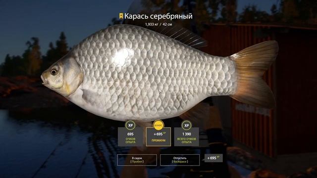 #РР4 Ладожское оз. Карась серебряный! 2 редких трофея за видео ) смотреть онлайн