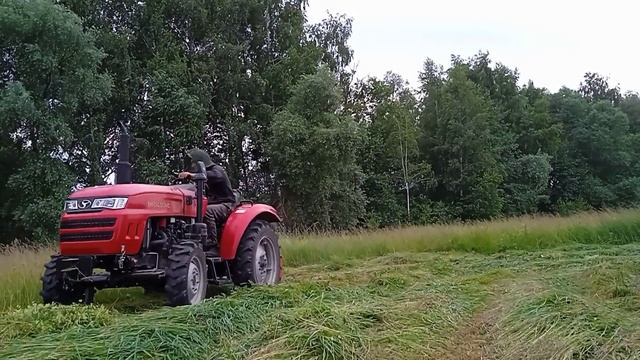 Косив до тих пір поки хватило нервів. Комарі заїдають. смотреть онлайн