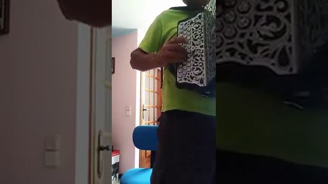 Uma bonita modinha muito bem tocada pelo Jorge Afonso. смотреть онлайн