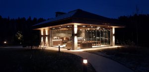 Барбекю зона в современном стиле. Комплекс барбекю.