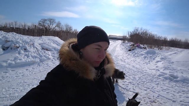 ВЛАСТЬ ПЫТАЕТСЯ ВСЯЧЕКИ ИСПОРТИТЬ ЖИЗНЬ ПРИЮТУ! НОВОСТИ ИЗ ПРИЮТА ДЛЯ БЕЗДОМНЫХ ЖИВОТНЫЙ! смотреть онлайн