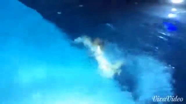 ПРЫЖОК В ВОДУ В ОДЕЖДЕ! смотреть онлайн