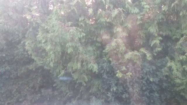 MOV 0174 смотреть онлайн