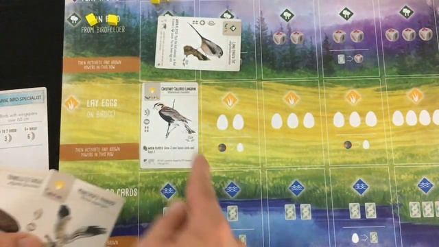 Wingspan: European Expansion | Solo playthrough | with Mike смотреть онлайн