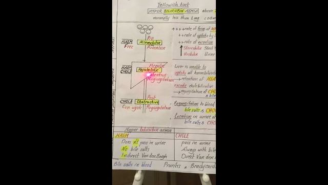 Dr.Nagi - Live Physiology - Lecture 108 - GIT (5) - Jaundice & Bile Pigments смотреть онлайн