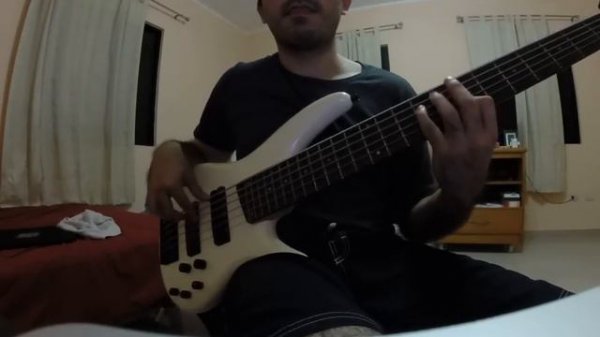 Liquid Tension Experiment - Acid Rain (Bass Cover)