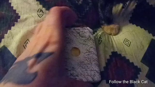 Sunday's Universe Oracle reading to help guide you through the week. 11/20/2022 смотреть онлайн