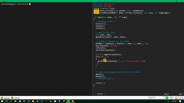 Ncurses Tutorial 6 - Working with User Input смотреть онлайн
